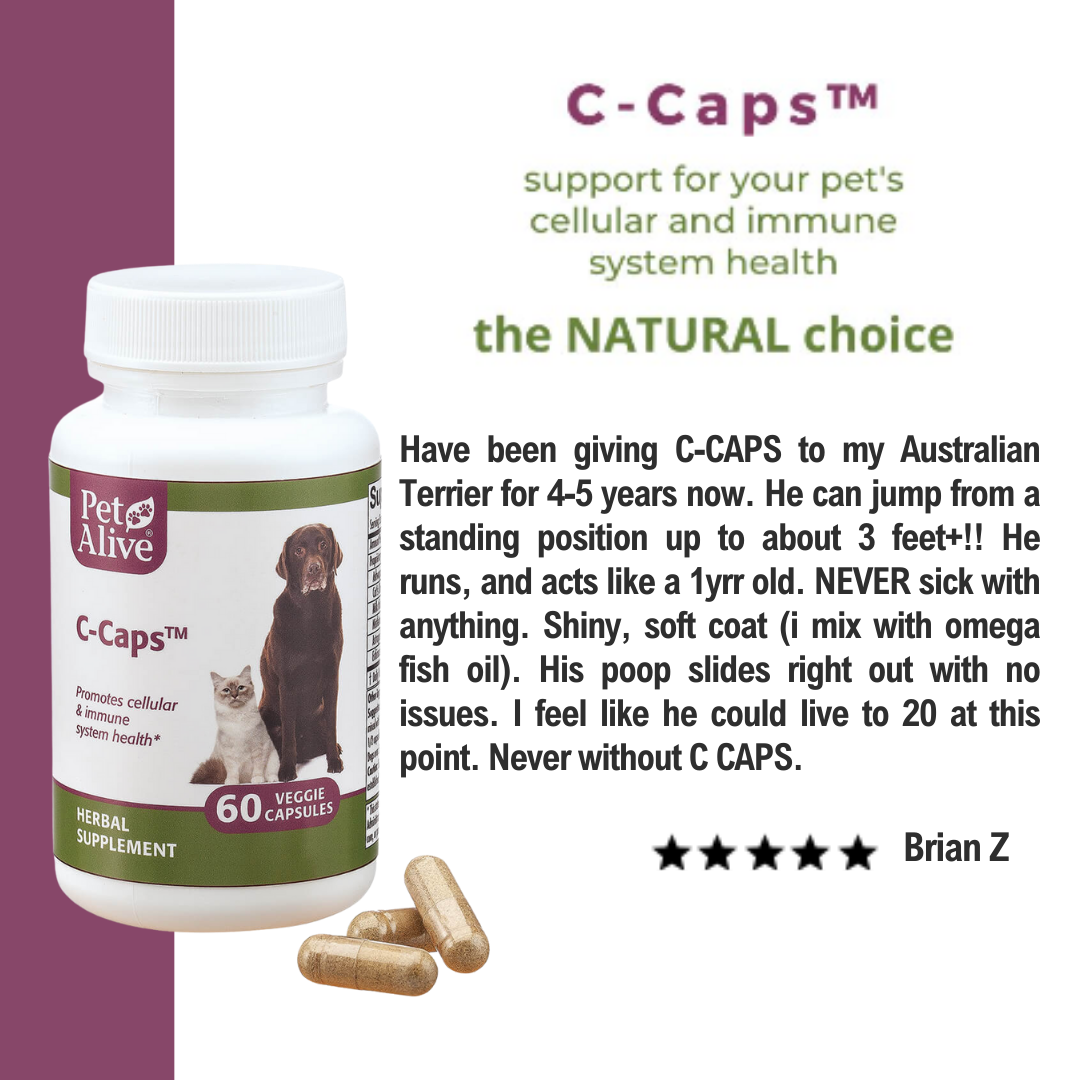 PetAlive® C-Caps™ for Dogs, Cats Immune System, Cellular Health & Overall Wellness Support - Natural Supplement for immunity, anti-lumps, cancer prevention and support