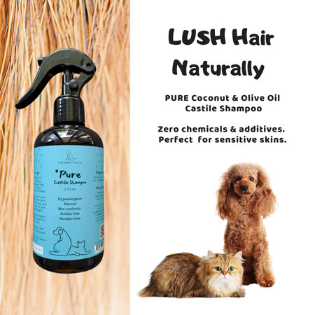 Allergy Protocol for Skin Sanitising, Skin Barrier Protection and Skin & Coat - Skin Spray, Skin Butter, Castile Shampoo
