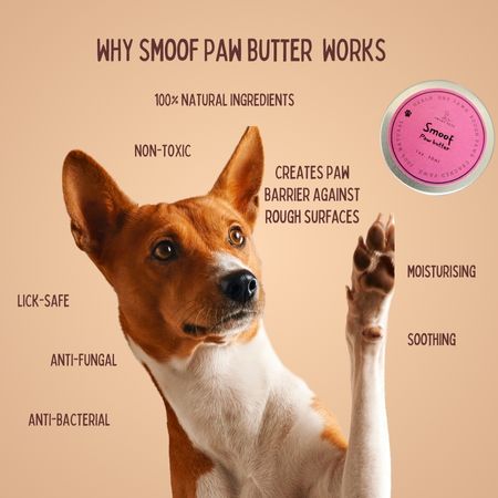 Smart Pets ITCHLESS Skin Butter & SMOOF Paw Butter 30ml Set - Dog Allergies, Itchy Skin, Itchy Paws, Paw Licking, Rough Paws, Dry Paws, Lick-Safe