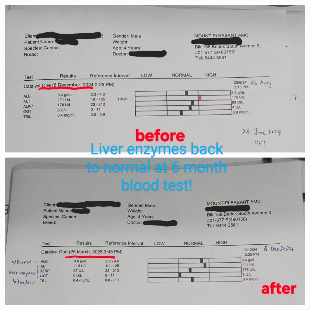 PetAlive® LiverAid™ Granules for Liver, Pancreas & Gallbladder Issues