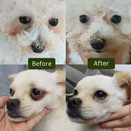 Smart Pets Tear Stain Free Herbal Supplement 40ml - Tear Stain Remover for Dogs & Cats