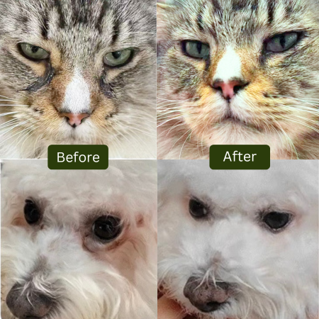 Smart Pets Tear Stain Free Herbal Supplement 40ml - Tear Stain Remover for Dogs & Cats