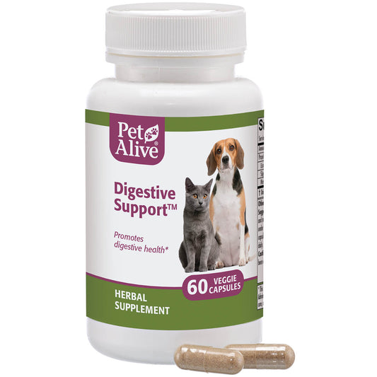 PetAlive® Digestive Support™ for Digestive Health
