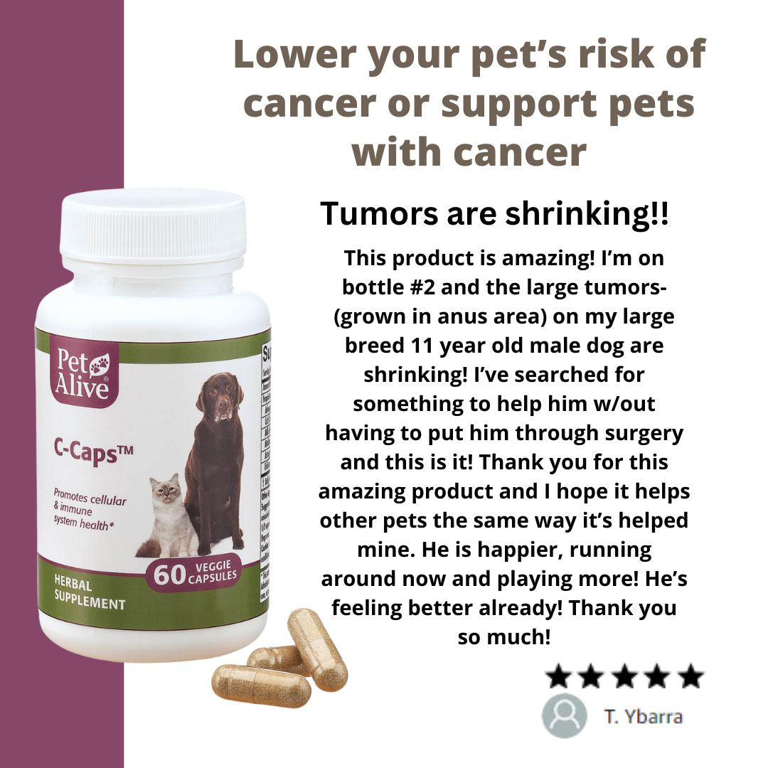 PetAlive® C-Caps™ for Immune System, Cellular Health & Overall Wellness Support