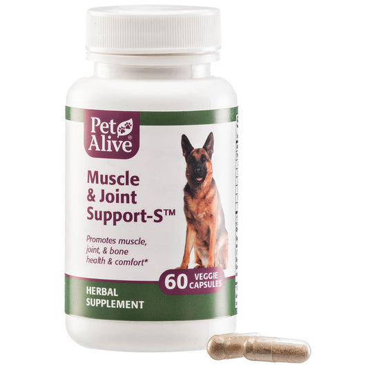 PetAlive® Muscle & Joint Support-S™ for Joint & Muscle Strength & Mobility