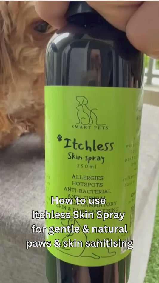 Smart Pets ITCHLESS Skin Spray for Dogs & Cats