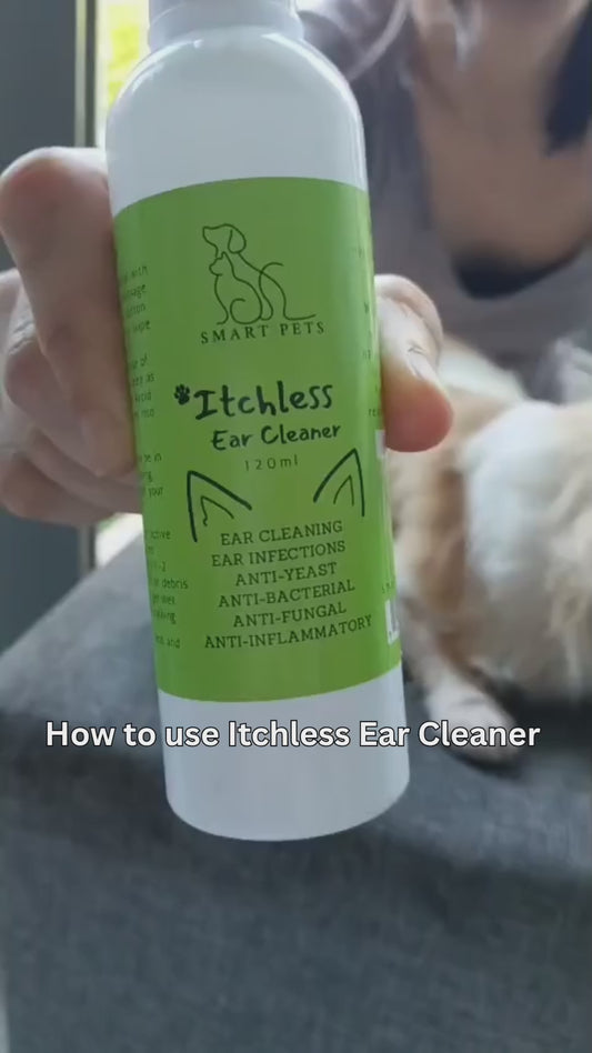 Ear Infection Protocol - Itchless Hypocholorus Acid Ear Cleaner & PetAlive Ear Dr for Dogs & Cats Ear Infection, Ear Issues, Yeast