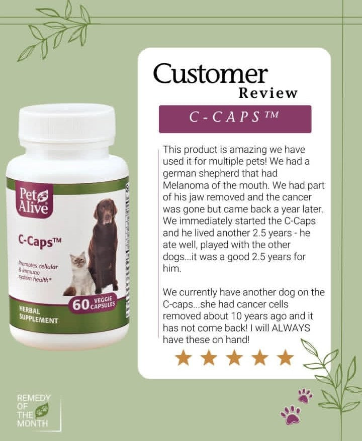 PetAlive® C-Caps™ for Dogs, Cats Anti-Lumps, Immune Support, Cellular Health & Overall Wellness - Natural Supplement for immunity, anti-lumps, cancer prevention and cancer-support